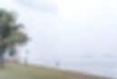 thiamsiewavenue-thecontinuum-atmgroup-singapore.jpg