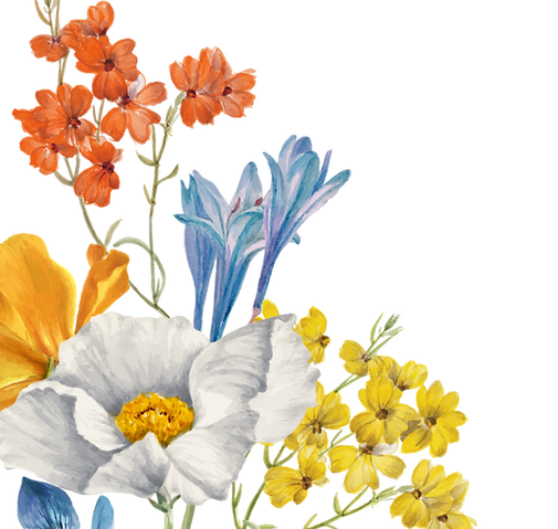 bg-jasminechua-artofcompany-02-01.png