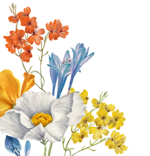 bg-jasminechua-artofcompany-02-01.png