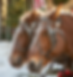 267788798_6882359898441627_8212108509638914157_n_edited.png