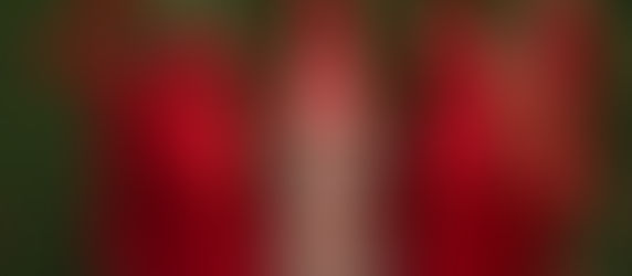 Sacerdotisas da Chama