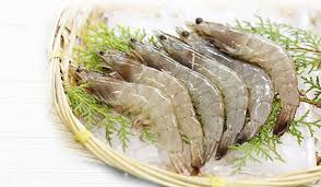 prawns