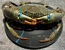 lake crabs