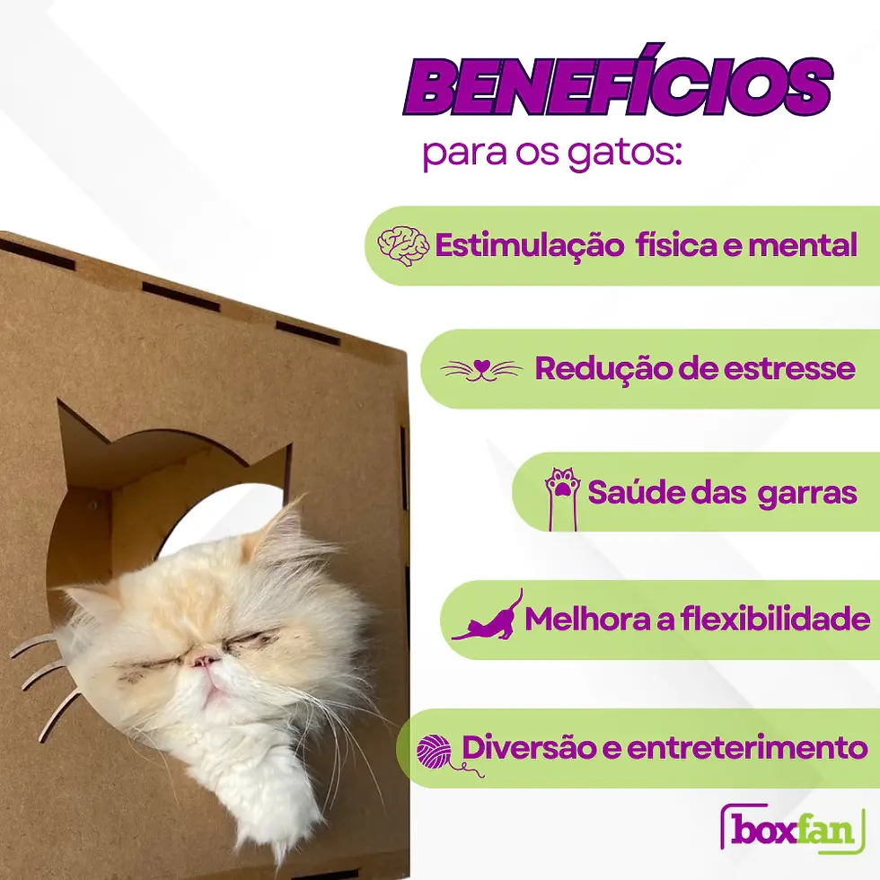 Miniatura: Kit Playground Gatos 19 pçs Arranhador Parede Brinquedo Gato Nicho Toca Casinha