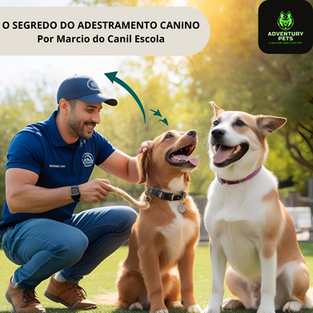 O marcio canil escola é dedicado ao Método O Segredo do Adestramento Canino, criado por Márcio F. da Silva. Este treinamento online e presencial visa transformar donos de cães em adestradores autônomos e confiantes, utilizando uma metodologia prática e acessível.