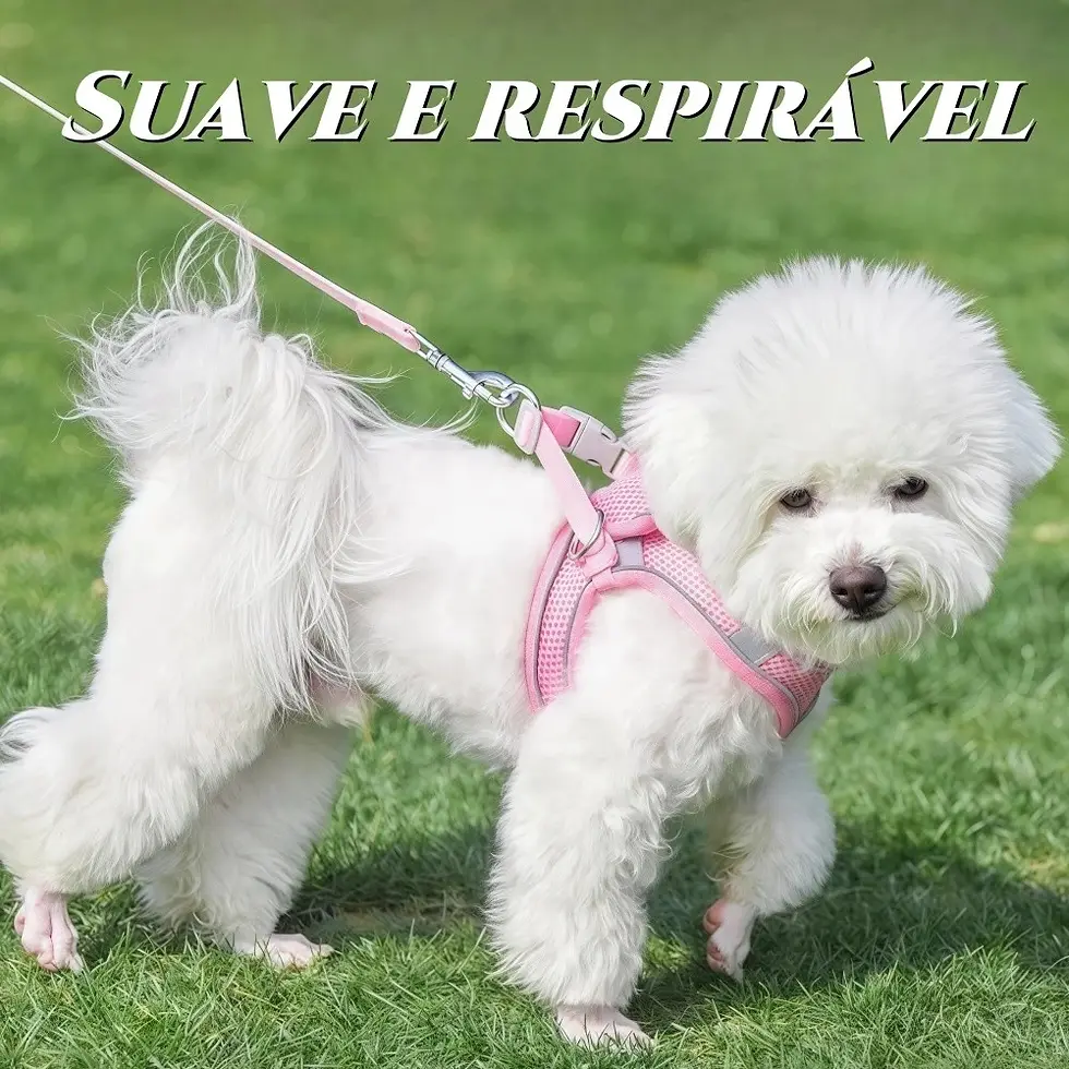Miniatura: Coleira Peitoral Cachorro e Gato Pequeno ou Médio Porte,rose/azul