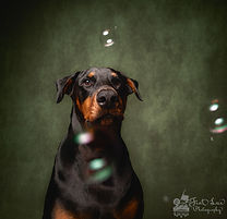 Maximilian with Bubbles-1.jpeg