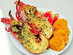 langosta