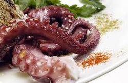 pulpo