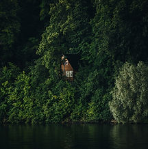 Casa en el bosque