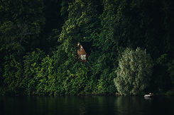 House in the Woods