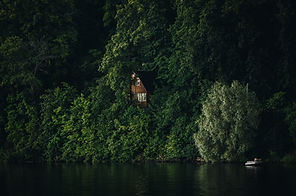 House in the Woods