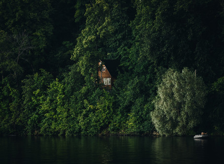 Тревога