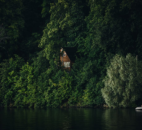 House in the Woods