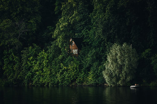 House in the Woods