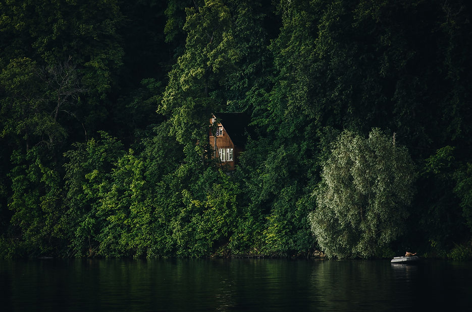 Widok na chatę w lesie