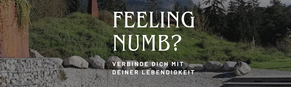 Verbinde dich mit deiner LEBENDIGKEIT