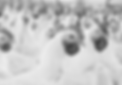 Poultry