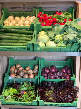 Der Hof Backhaus bietet im eigenen Hofladen eine Vielzahl von Produkten direkt vom Feld aus Landesbergen und der Region Mittelweser, hierzu gehören grüner und weißer Spargel, Heidelbeeren, Kirschen, Kartoffeln und vieles mehr.