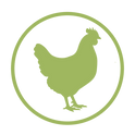 Poultry icon