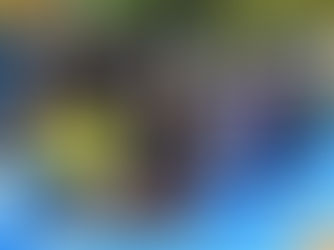 11月6日 地区別防災訓練が行われた