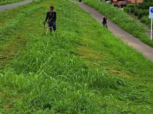 境川中学校南側堤防での草刈り隊活動&上佐波地区での環境整備活動(草刈り)にご協力ください!