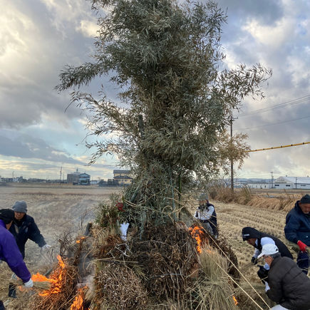 左義長で年始の願い