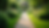 High angle view of a serene garden path surrounded by lush greenery