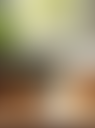 Aromatherapy Diffuser Blend Recipes for Every Mood