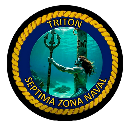 TRITON.png