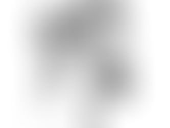 Aristoteles -VII-