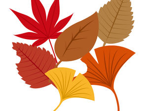 令和7年11月　税務カレンダー