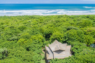 home to beach through private jungle path.jpeg