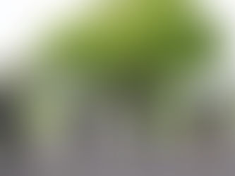 Heartbeat Newsletter T4W2 27/10/21