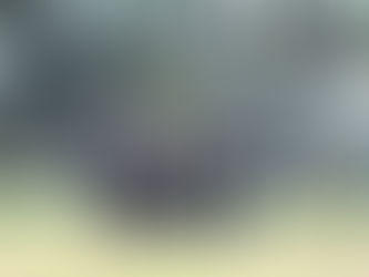 Girls cricket & senior volleyball trials postponed