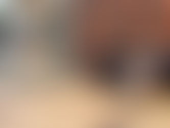 Year 13 Geographic research: A Changing Avondale