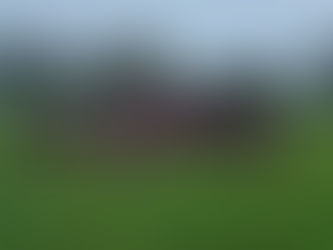 Winter Sport Overview