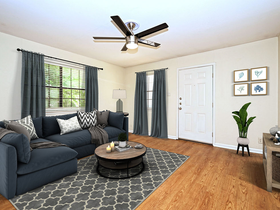 Duplex 3B (116)
