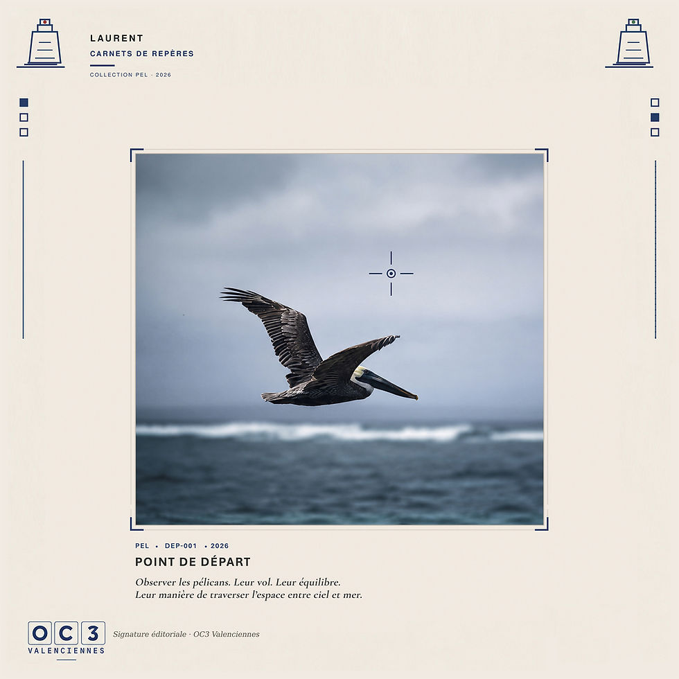 Pélican en vol au-dessus de la mer, image de départ de la collection PEL 000 de LAURENT.