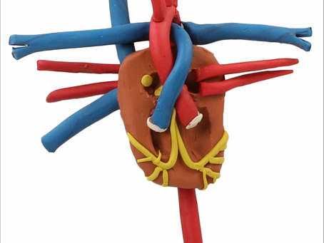 Commotio Cordis
