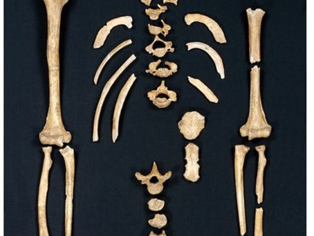 Out in Left (Handed) Field