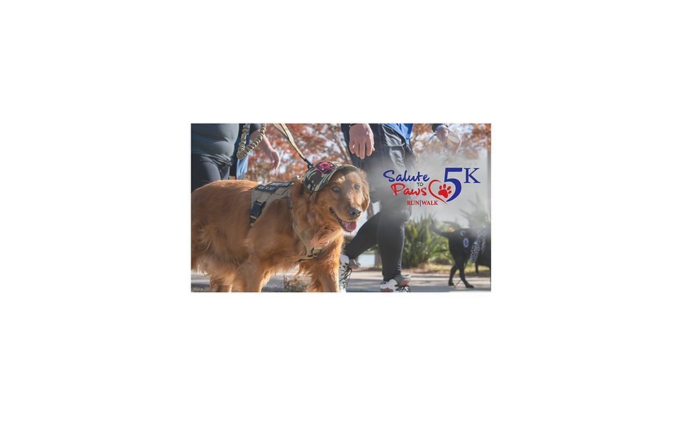 2nd Annual Salute to Paws 5k & Gratitude Festival for Dogs
