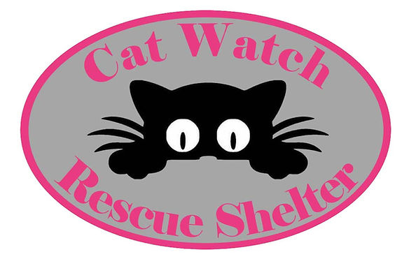 CATWATCH.jpg