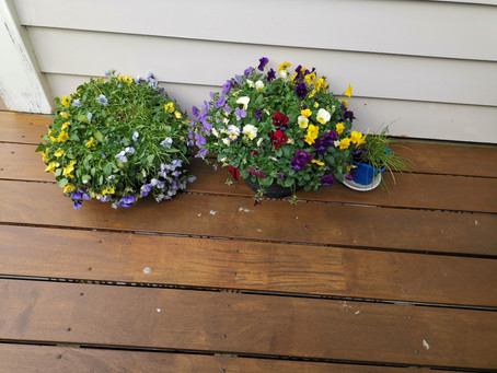Common causes of deck staining