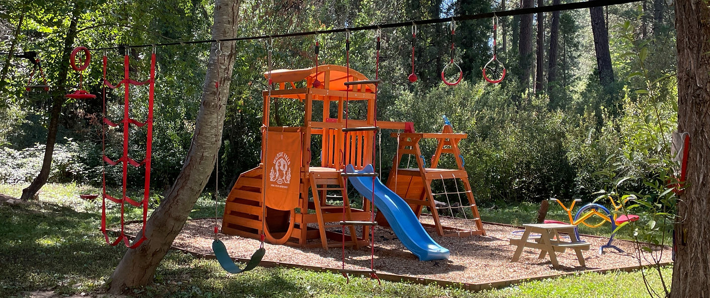 2023-09-07_15-13-11_866_edited_edited_ed