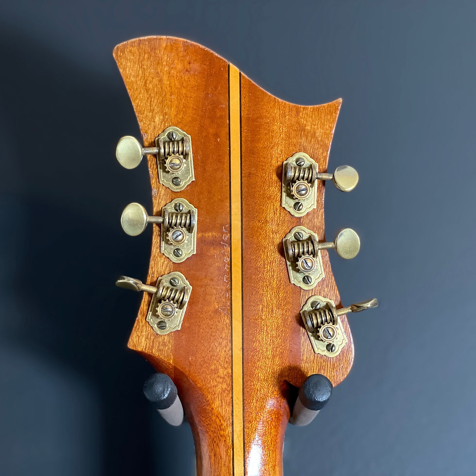 Thumbnail: SOLD - 1952 Levin Model 1 DeLuxe with Kjell Mikrofonen Pickup