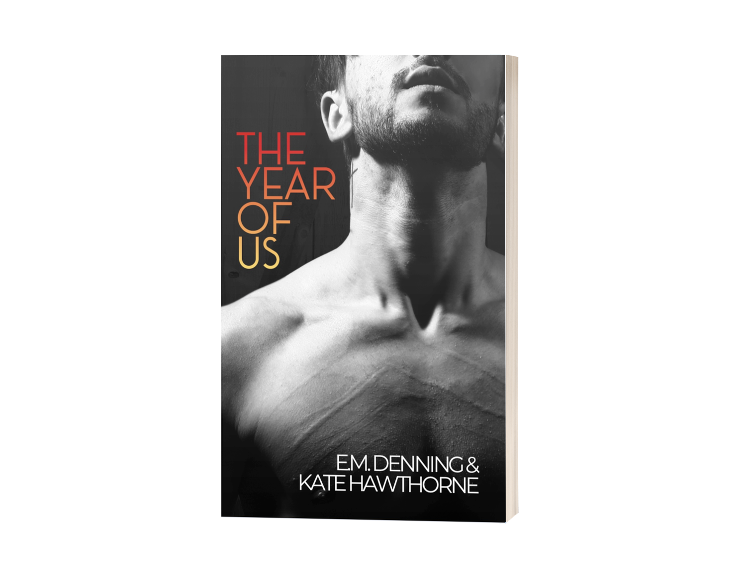The Year of Us - Paperback Only