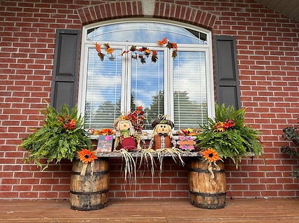 Fall Porch Ferns.jpg