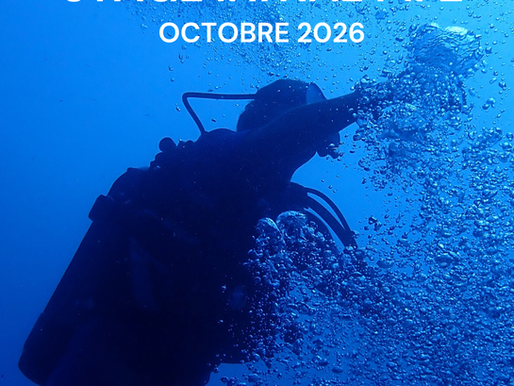 Stage initial MF2 - Octobre 2026