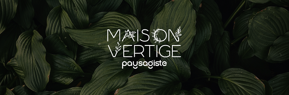 Logo Maison Vertige, paysagiste, identité vert olive et gris pierre, feuilles stylisées en V
